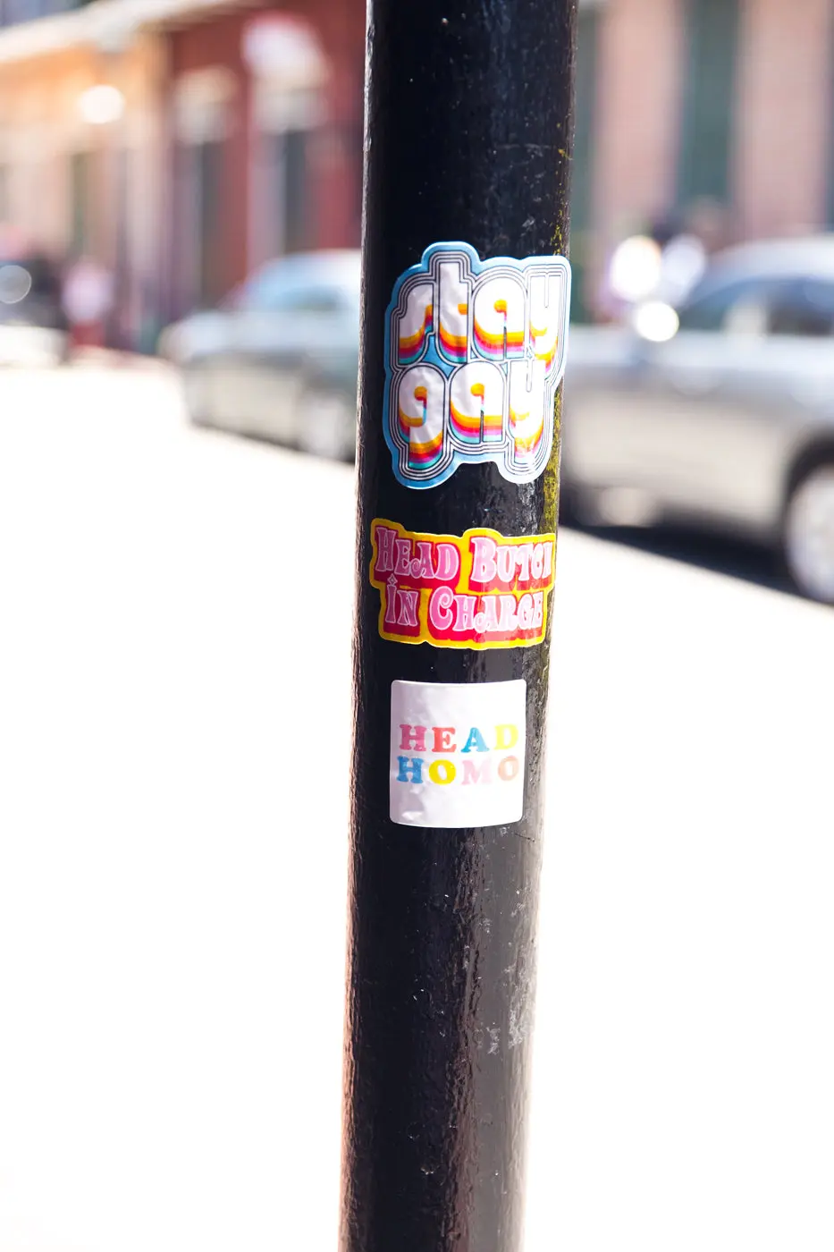 Head Homo Sticker - Image 4